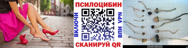 Галлюциногенные грибы прущие грибы  hydra рабочий сайт  Кувандык 